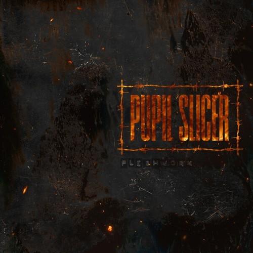 Pupil Slicer - Fleshwork (2025) 320|Hi-Res