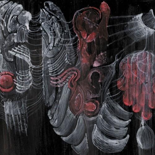 Strigiform - Aconite (2025)