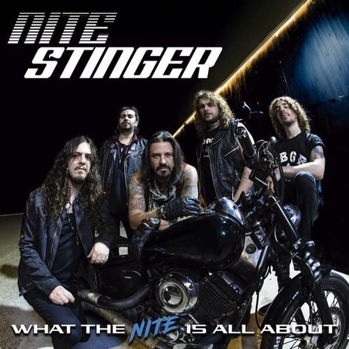 Nite Stinger - What The Nite Is All About (2026) 320|FLAC