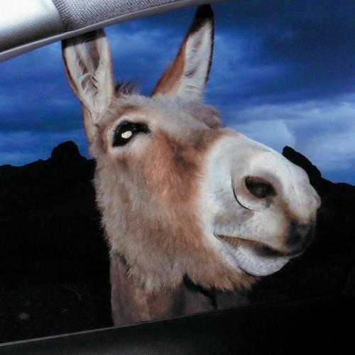 SUPERWORLD - Super World (2026)