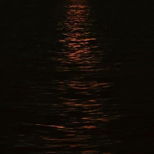 Kill the Will - Out of Darkness into Gloom (2026)