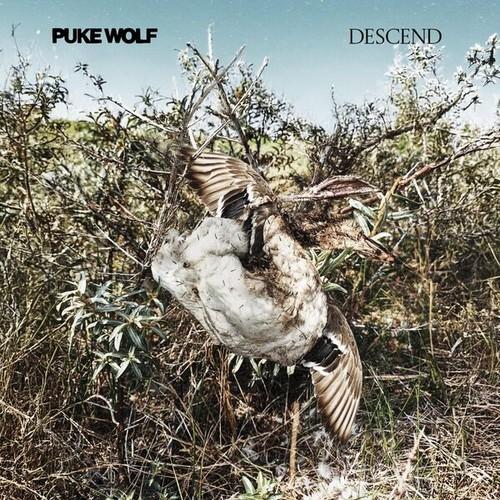 Puke Wolf - Descend (2026)