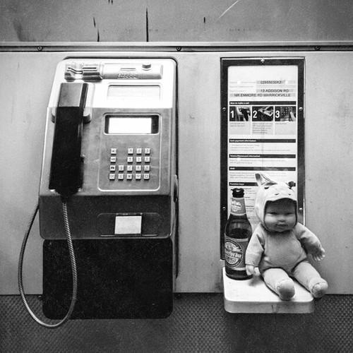 Dear Seattle - TOY (2026)