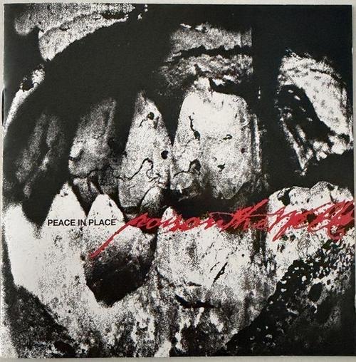 Poison the Well - Peace in Place (2026) 320|FLAC, CD Scans