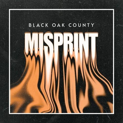 Black Oak County - Misprint (2026) 320|FLAC