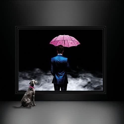 Unicorn Umbrellas - Every Picture Tells a Story (2026) 320|FLAC