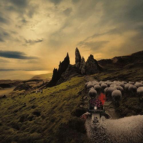 Franck Carducci - Sheeple (2026)